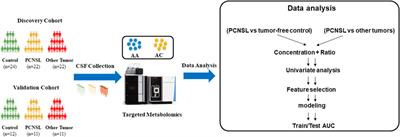 High-throughput quantitation of amino acids and acylcarnitine in cerebrospinal fluid: identification of PCNSL biomarkers and potential metabolic messengers